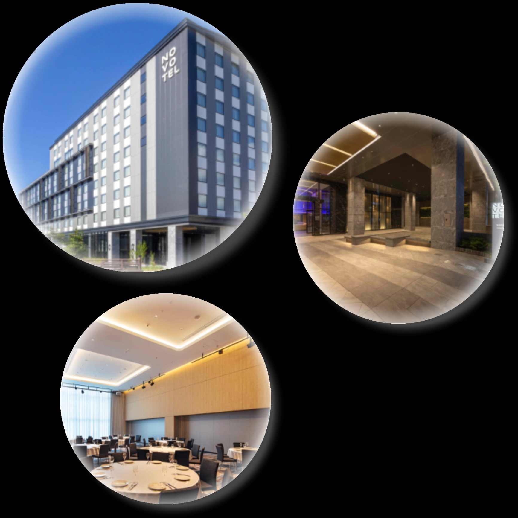 写真：第16回総会・懇親会会場